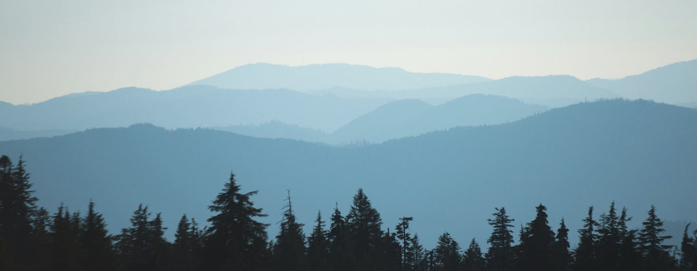 Silhouette of trees with mountains in the background